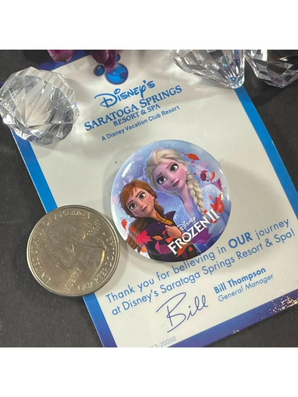Frozen 2 Disney Lapel Pin Saratoga Springs Resort Elsa Ana Pin Brooch Button Pin